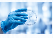 Chemical, Personal Care Cosmetics & Consumer Health